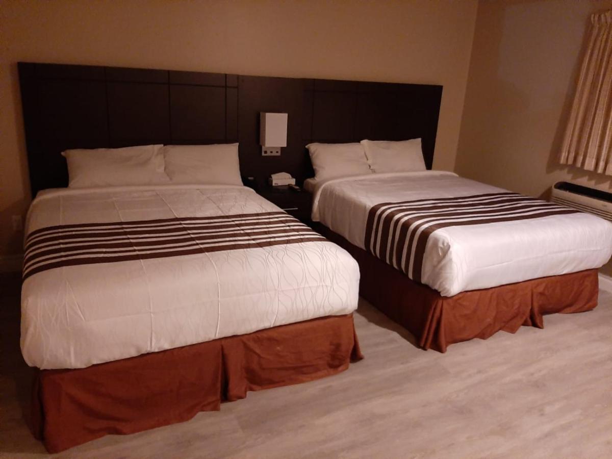 Silver Maple Motel Халибертон Экстерьер фото